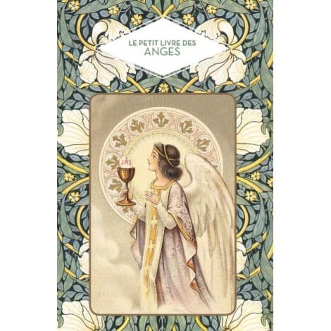 Le petit livre des anges - Nicole Masson - La Boutique des Anges