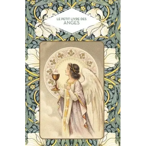Le petit livre des anges de Nicole Masson : couverture à l'ange au calice, cadre de fleurs blanches