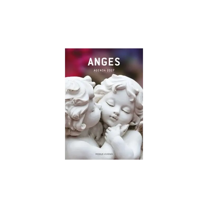 Couverture de l'Agenda des Anges 2027 : deux angelots sculptés blancs qui s'embrassent