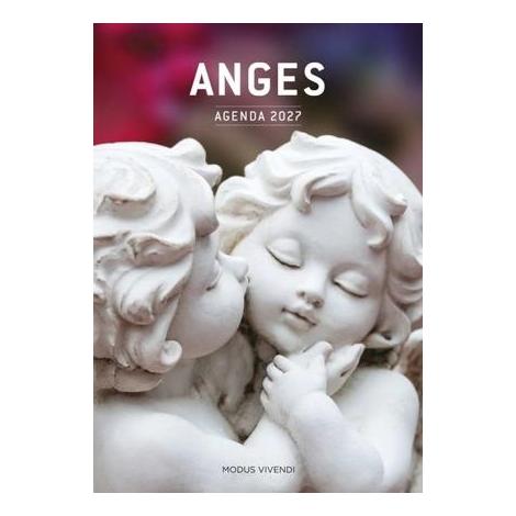 Agenda ange 2026 - livre ange