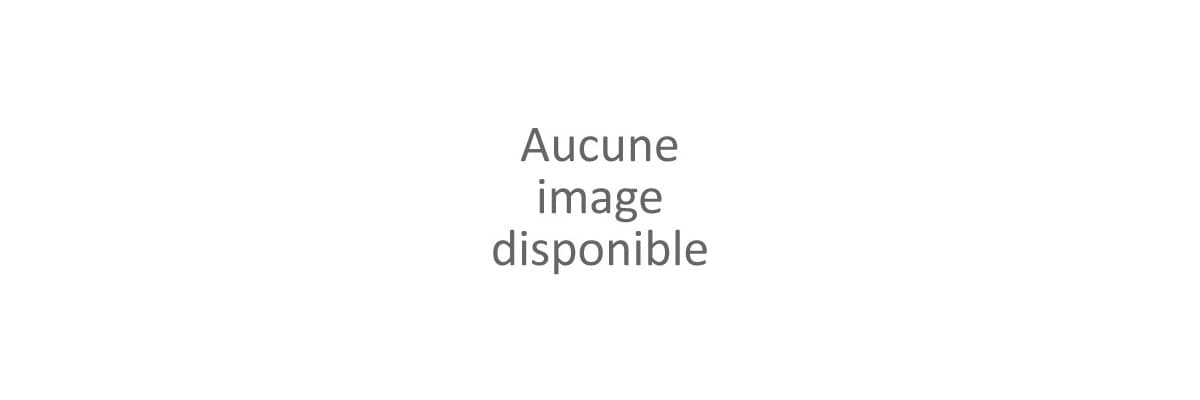 Calendriers de l'Avent anges